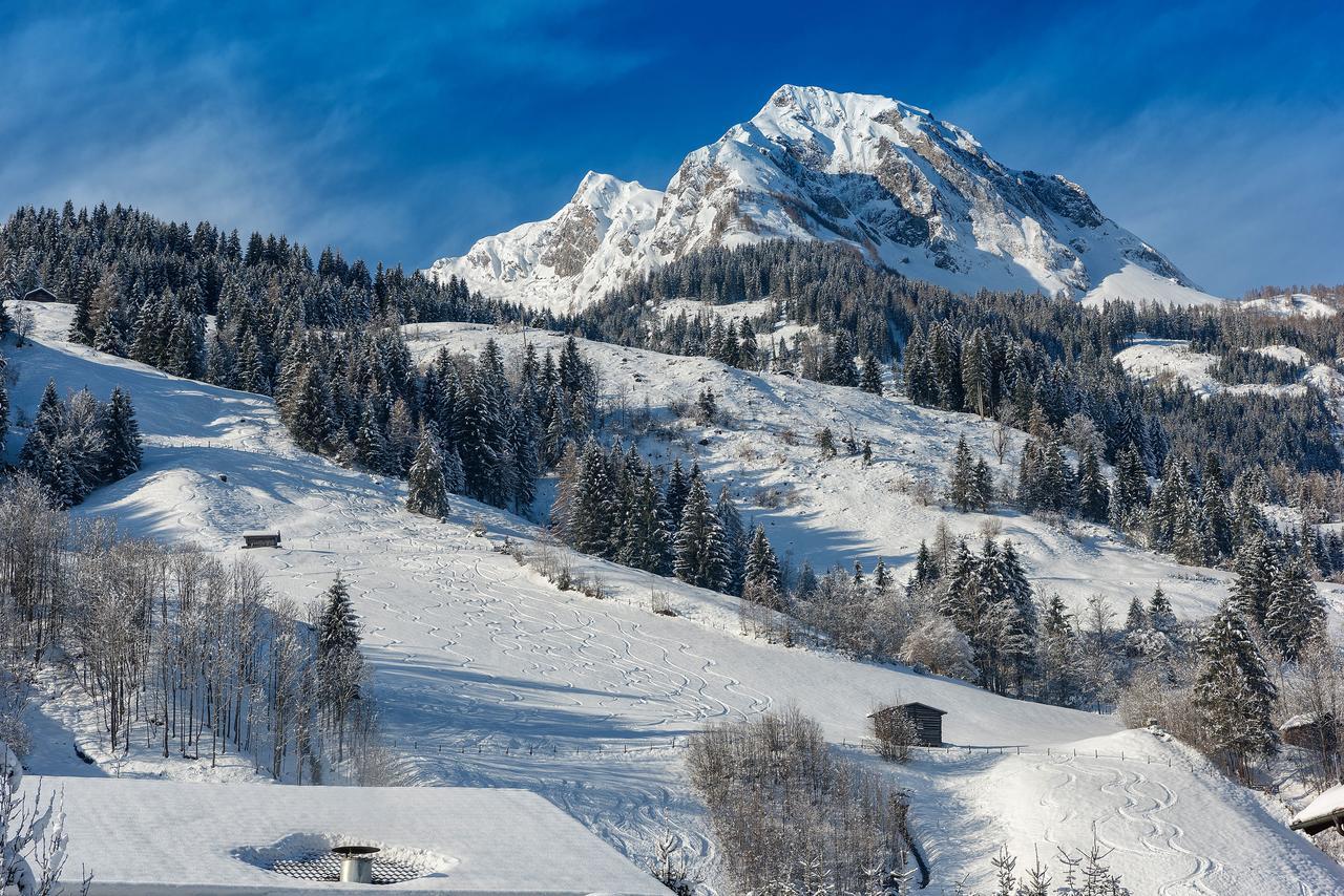 Bauernhofhotel "Die Unterbergerin": Farm Stay with Spa Access in Gastein Dorfgastein Exterior photo